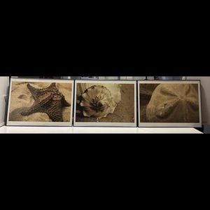 3 Beach Photograph Prints by Cyndi Schick
